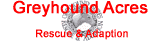 www.greyhound-acres.com - GREYHOUND ACRES RESCUE & ADOPTION